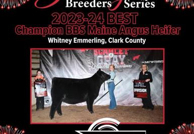 2023 BESTCH Maine Angus Heifer